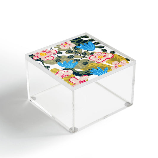 Aksa Acrylic Box